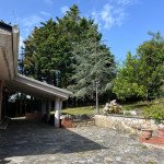 WhatsApp Image 2025-06-21 at 12.54.33 (1).jpeg